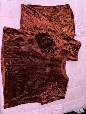 Banana Republic Rust Red Crushed Velvet Short Sleeve Top and bottoms.